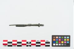 Foto von Bronzeschlangenfibel (NHMW-PRAE-025063)